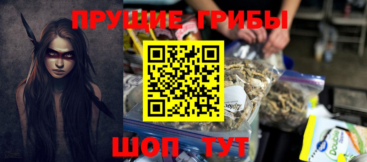 Унеча  Галлюциногенные грибы Psilocybe  Вход с VPN 